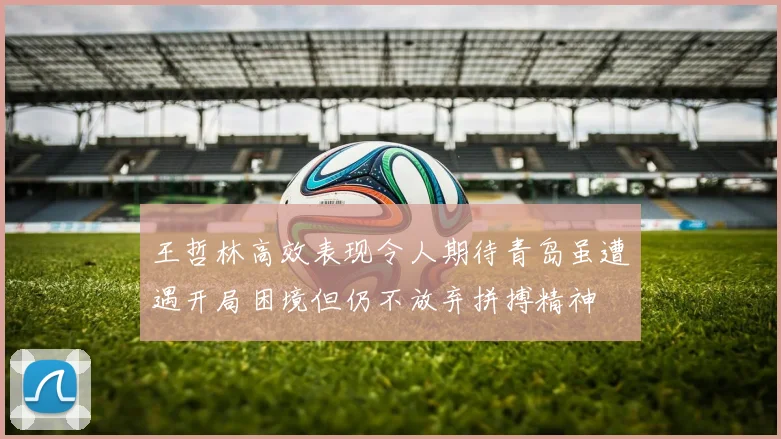 王哲林高效表现令人期待青岛虽遭遇开局困境但仍不放弃拼搏精神